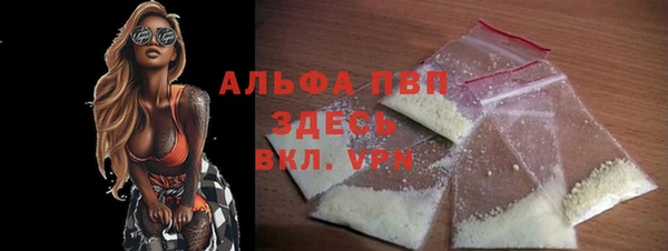 стафф Майский