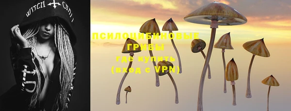стафф Майский