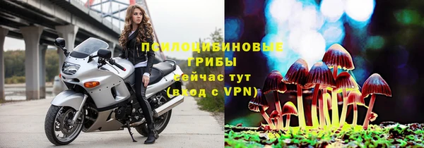 стафф Майский