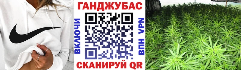 Купить где  Киржач  Конопля VHQ 
